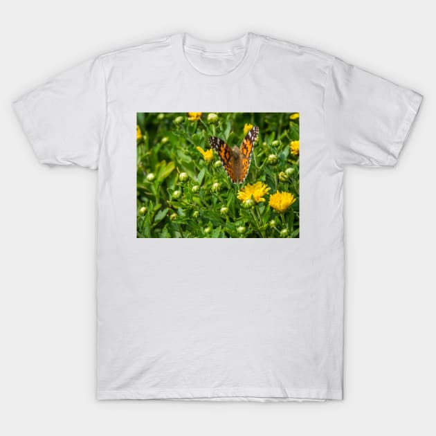 Painted Lady Butterfly by Debra Martz T-Shirt by Debra Martz